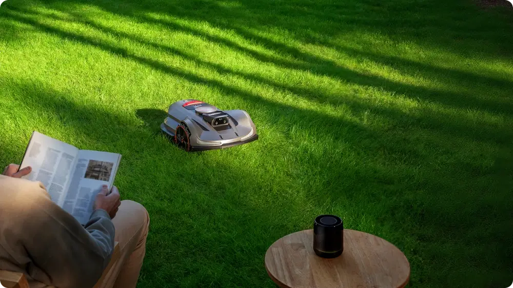 Alexa i Google Assistant – sterowanie głosowe